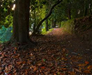 Narón es un municipio Pet Friendly de Ferrolterra