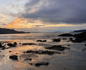 Cabanas es un municipio Pet Friendly de Ferrolterra