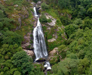 Neda es un municipio Pet Friendly de Ferrolterra